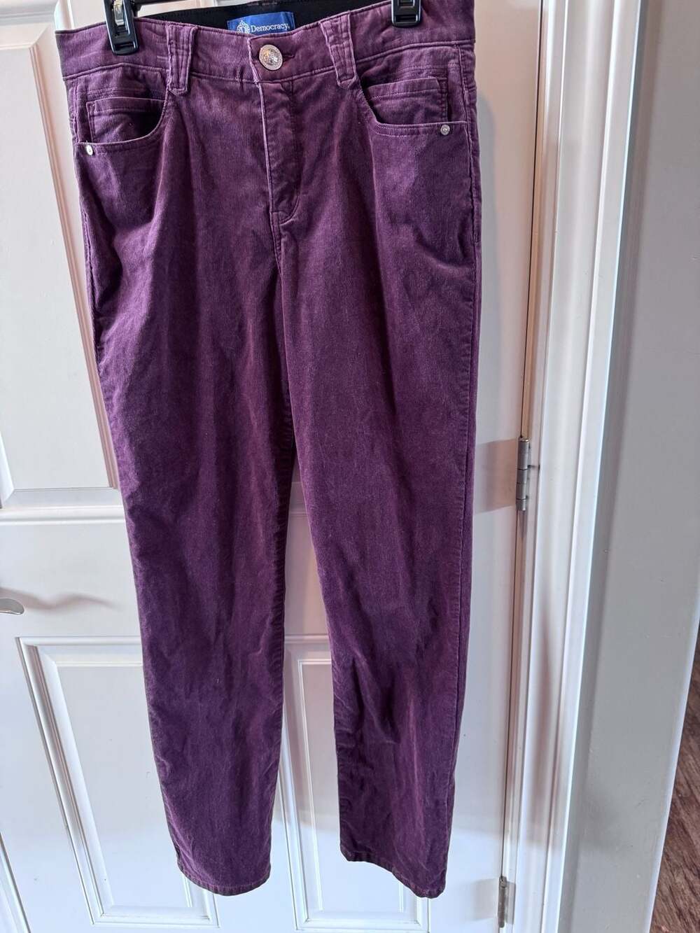 Democracy Ab'solution Purple Corduroy Pants Size 10